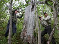 Kola Peninsula (2 of 2)