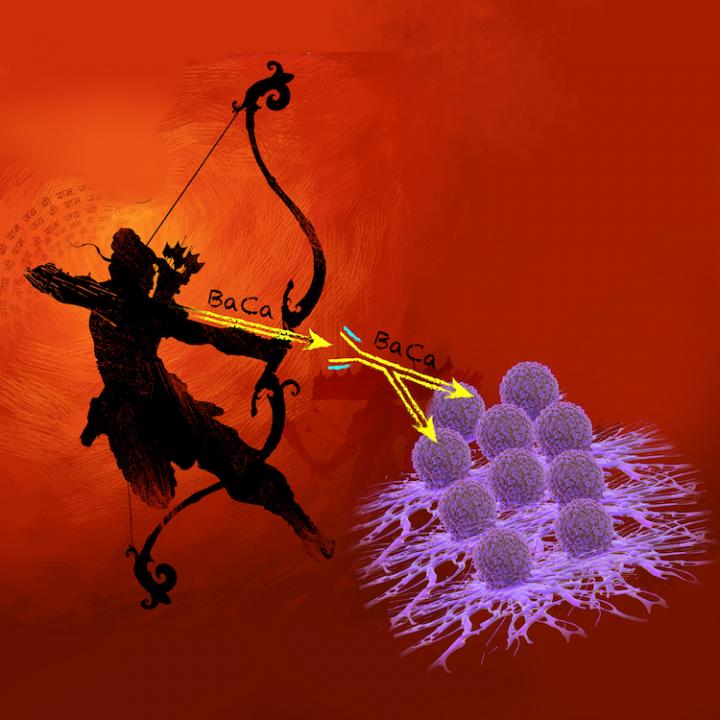 UVA Developing 'Two-Headed Arrow' to Kill Ovarian Cancer