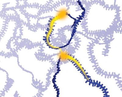 Molecular Structure Affects Conductivity