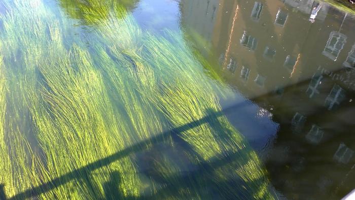 The Brda River in the center of Bydgoszcz