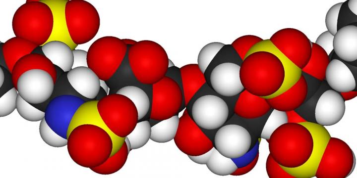 Heparan Sulfate