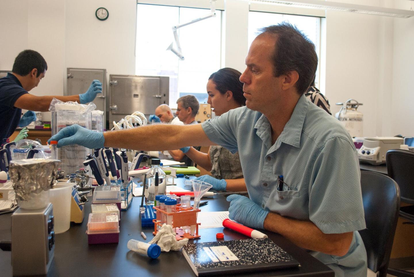 FSU-Pioneered Genetic Technique