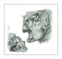 Parrot-Beak of the Gobi