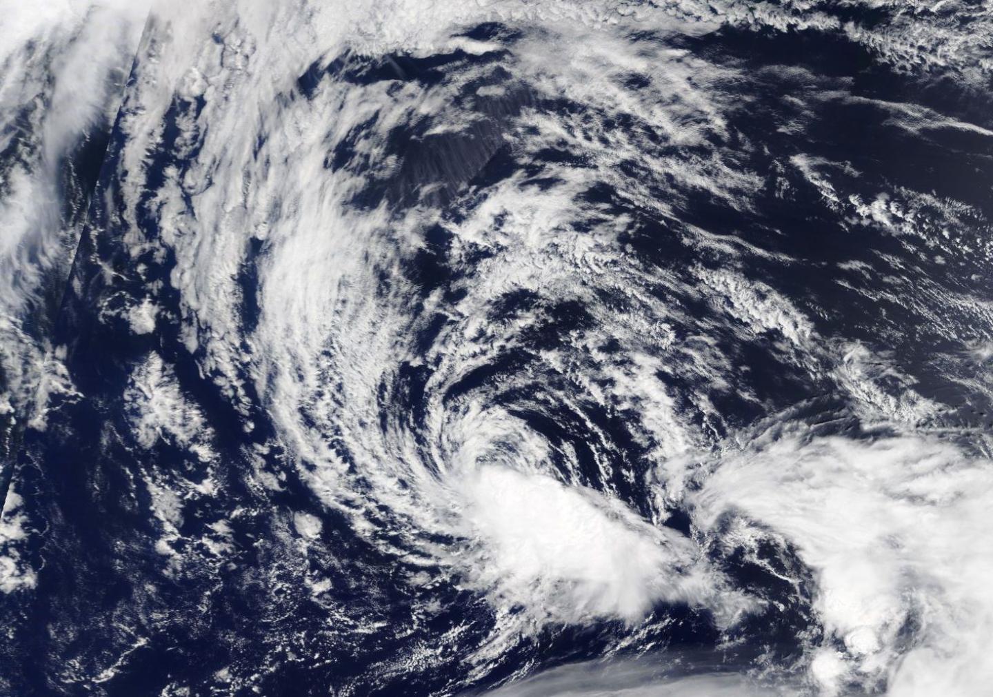 Terra Image of Kulap