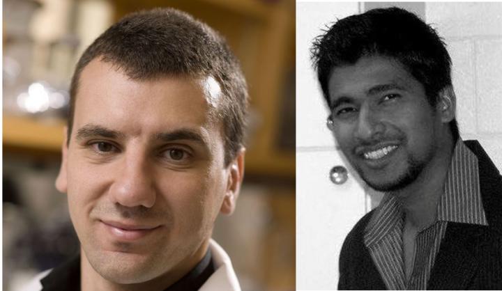 The Corresponding Authors of this Work