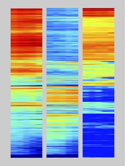 Gene Expression and Epigenetic Markers in T-Cell Development