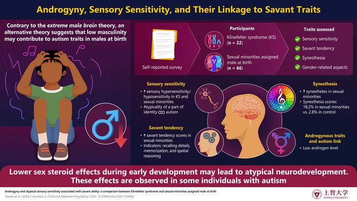 Exploring the relationship between androgynous traits, sensory characteristics, and savant tendencies frequently observed in individuals with autism spectrum disorder (ASD)