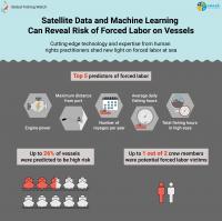 Satellite Data and Machine Learning Can Reveal Risk of Forced Labor on Vessels