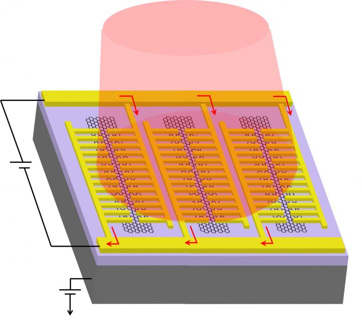 Schematic of Photodetector
