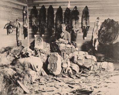 Canadian Fur Trader Circa 1890s