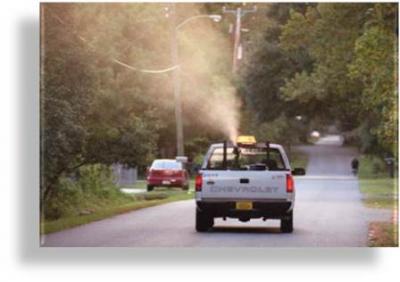 Mosquito Truck Spraying