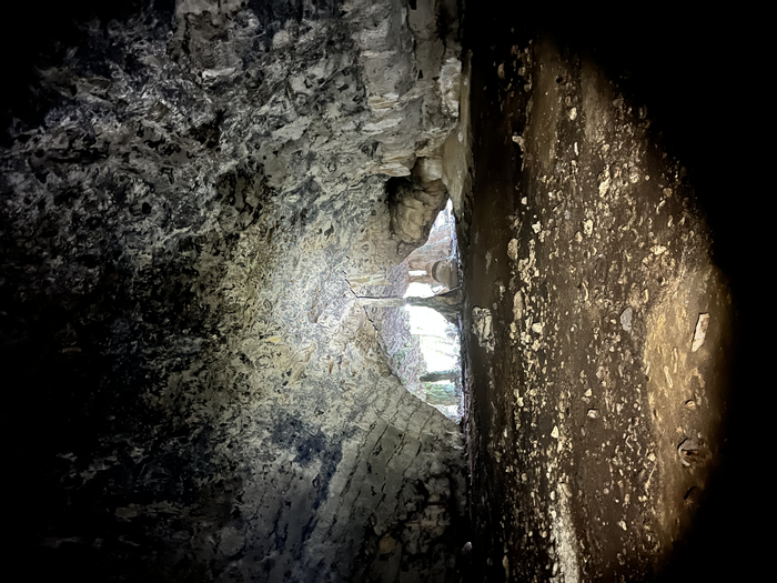 Lene Hara cave, where the new species was found