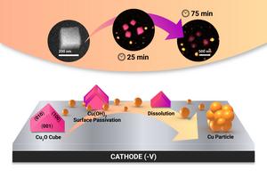 The Secret Life of Catalysts