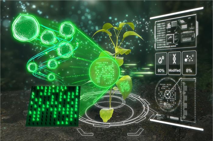 Figure 1| The construction of a plant information cloud platform using luminescent plant labels