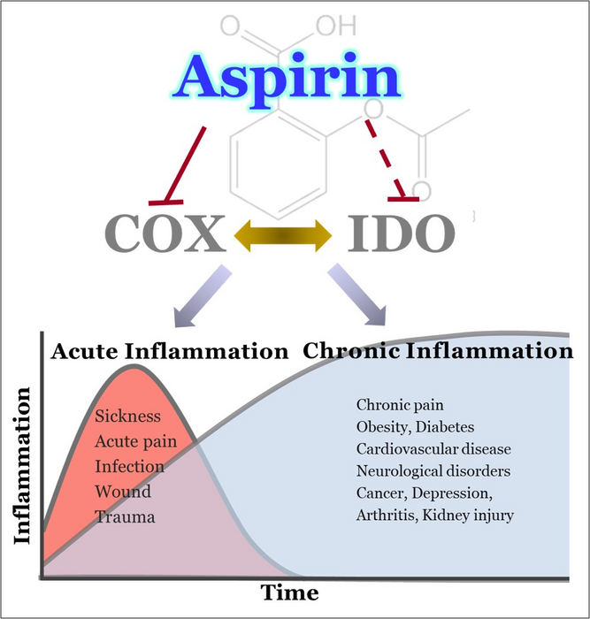 Aspirin s Mechanism Of Action IMAGE EurekAlert Science News Releases