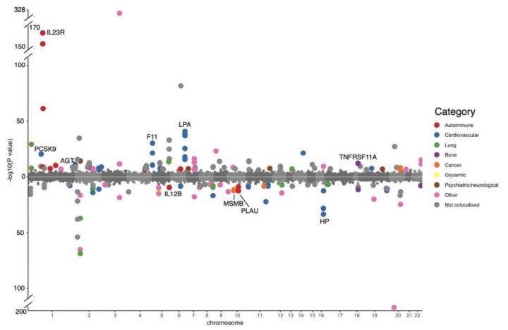 The Mendelian Randomization Results for Proteins on Human Diseases