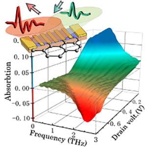 Paving the Way for Tunable Graphene Plasmonic THz Amplifiers