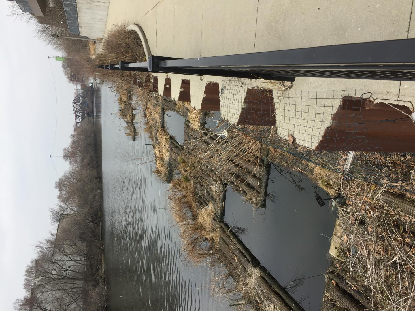 Floating garden off-season