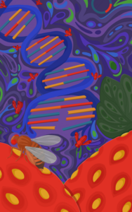 Artist's depiction of genetics and Drosophila suzukii