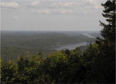 Historic Trends Predict Future Global Reforestation Unlikely