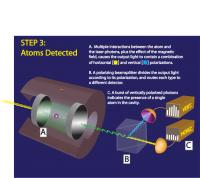 Step 3 in Single-Atom Detection System