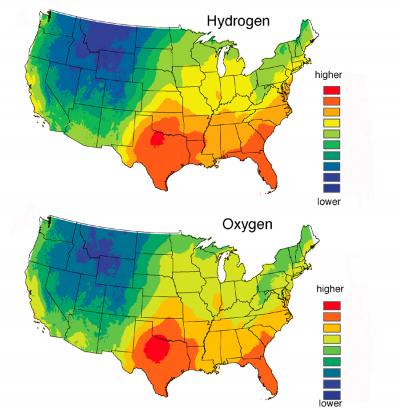 Heavy Stable Isotope Levels in Hair