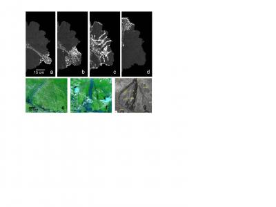 Satellite Image of Kosi Fan