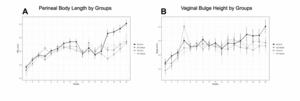 Use of the senolytics dasatinib and quercetin for prevention of pelvic organ prolapse in a mouse animal model