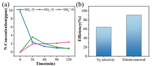 Efficient Electrocatalytic Reduction of Nitrate to Nitrogen Gas: Promising Way to Remove Nitrogen from Water