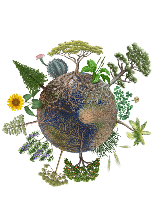 How fineroot traits fit in plant form and fu EurekAlert!