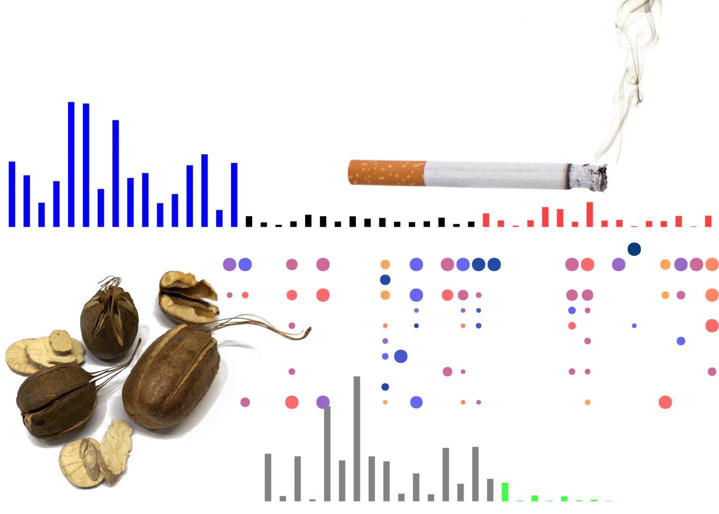 Collage: Mutational Signatures of Cigarette Smoking and Aristolochic Acid, a Carcinogen in Some Herb
