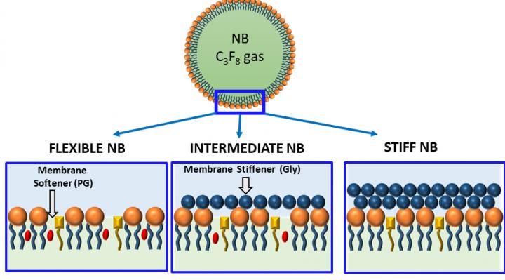 Nanobubble Membranes