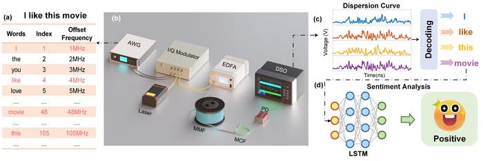 Figure | Experimental system.