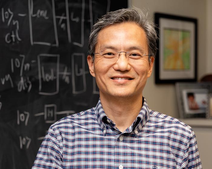 جین ناڪ آئوٽ انفریشن-جینیاتی تحقیق لاء ہڪ ورچوئل اوزا