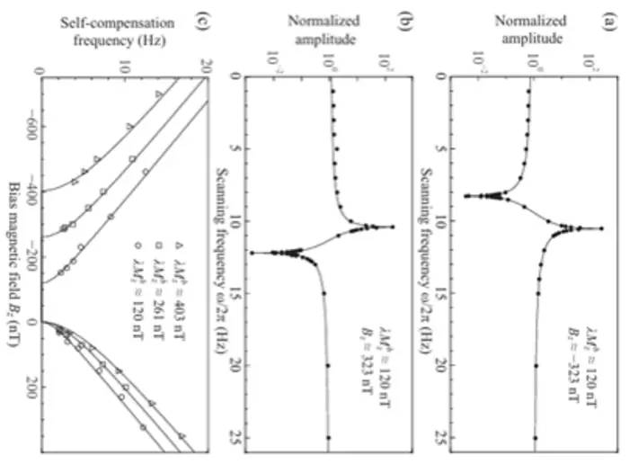 New Classes of Magnetic Noise Self-Compensation Effects in Atomic Comagnetometer