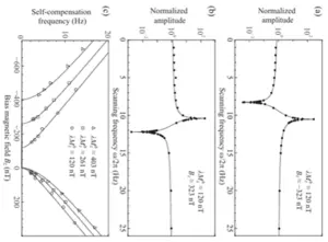 New Classes of Magnetic Noise Self-Compensation Effects in Atomic Comagnetometer