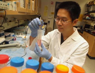 Dr. Wenbo Zhang, Medical College of Georgia