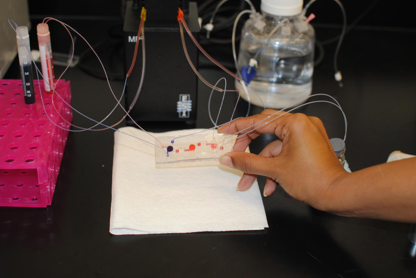 Lung-On-A-Chip Platform