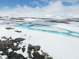 QUT drones detect moss beds and climate changes in Antarctica 2023 summer