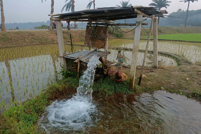 Groundwater-​fed irrigation by an electricity-​operated pump