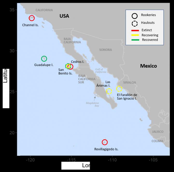 Distribution of Guadalupe fur seals