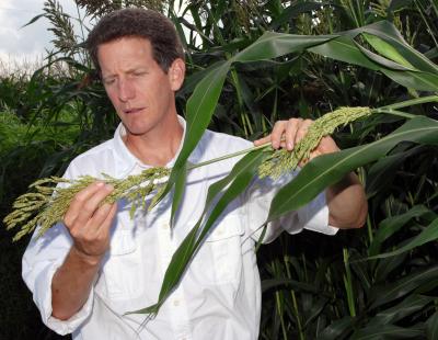 Sustaining a Bioeconomy