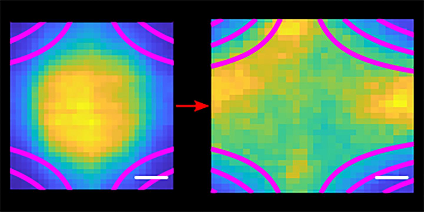 ultracold plasma in magnetic bottle