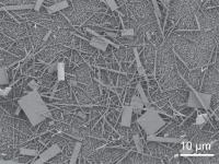 Nanowire Crystals (2 of 2)