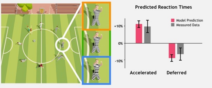 Image Features Influence Reaction Time