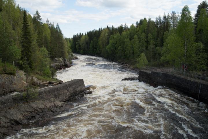 Fisheries Compensations