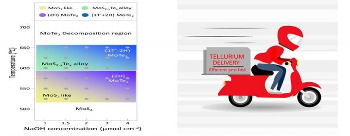 Fig. 2&3 Tellurization Rate