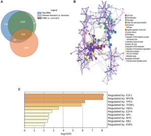 A novel group of genes that cause endocrine resistance in breast cancer identified by dynamic gene expression analysis