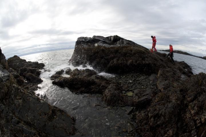 Northeastern University Marine Science Center Research