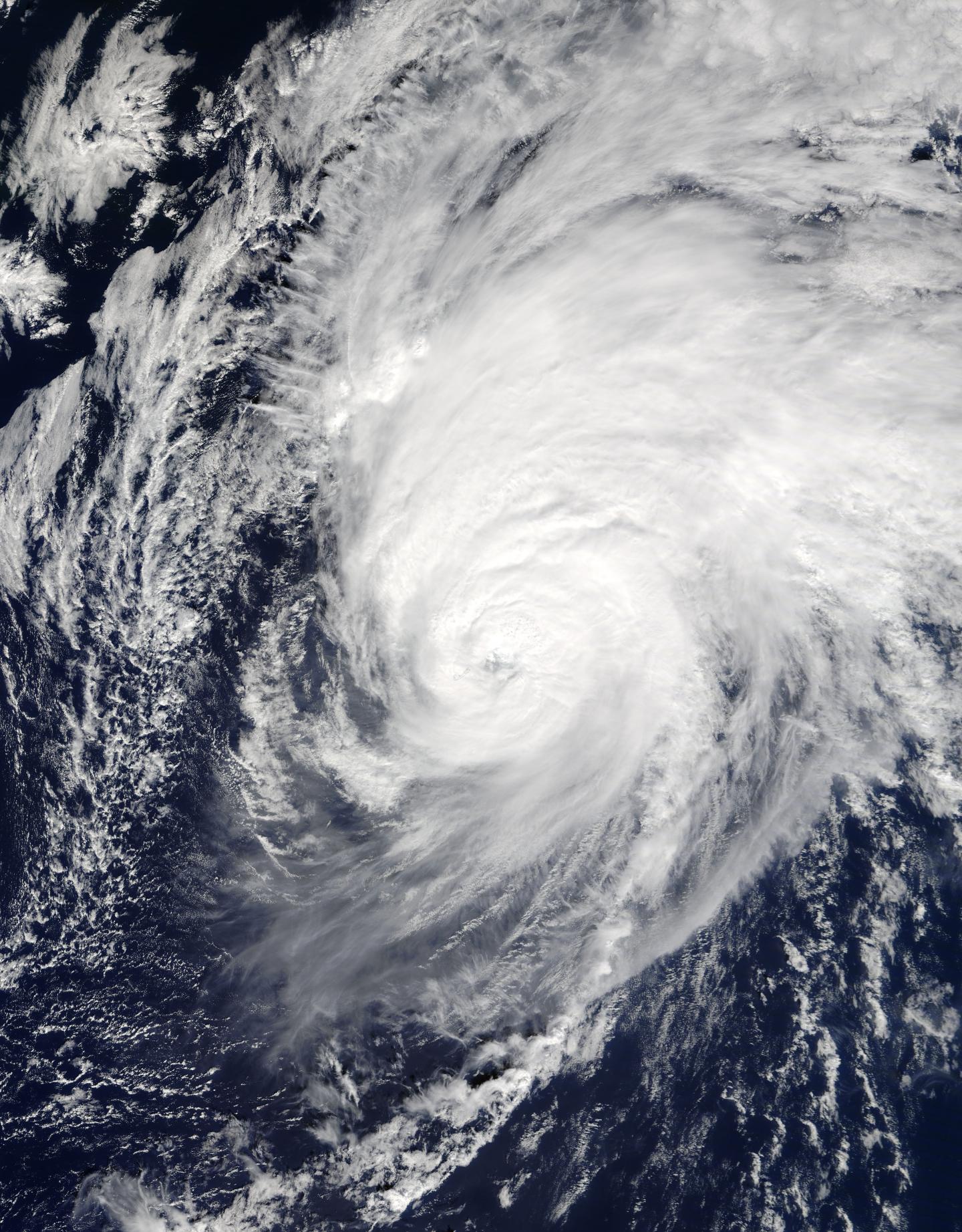 Satellite Image of Nicole